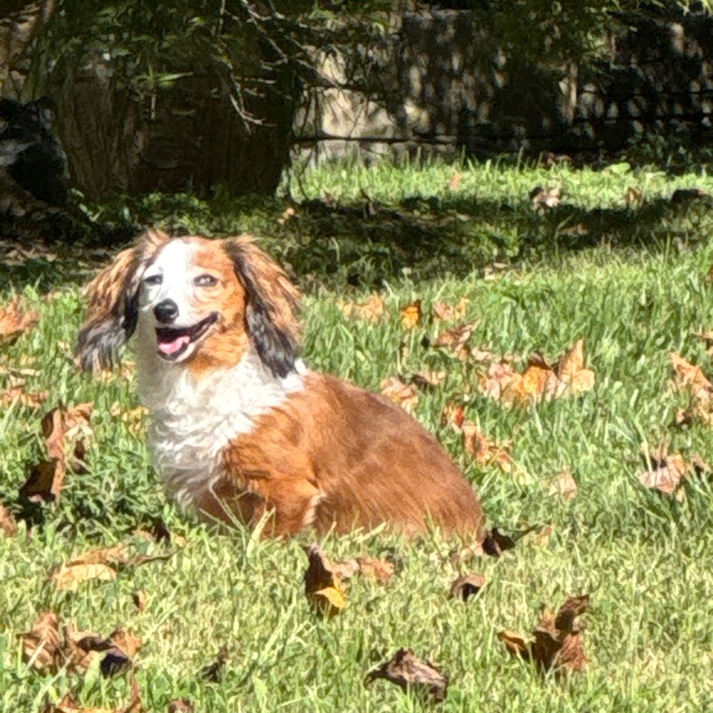 Meet your Posher, Rebecca